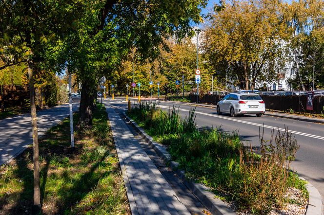 Park linearny na Bielanach w Warszawie