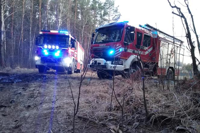 Były już 3 pożary lasów w okolicach Żeliszewa – służby ostrzegają i apelują o ostrożność