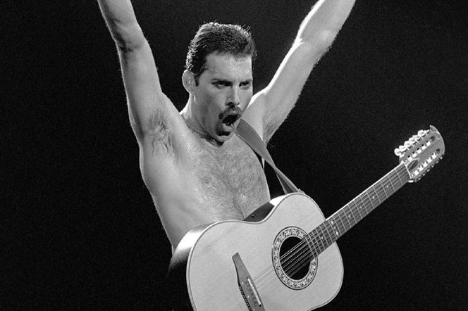 Freddie Mercury
