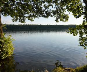 Jezioro Strzeszyńskie