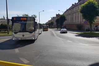 Pierwszy kurs autobusu przegubowego w Grudziądzu