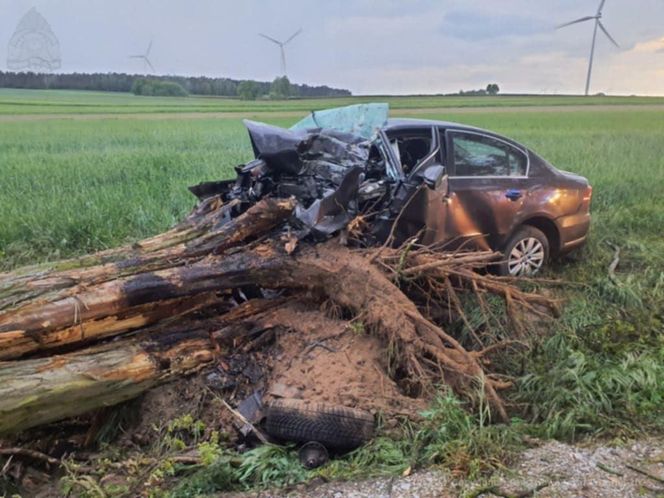 Tragedia pod Skierniewicami. 28-letni kierowca zginął po zderzeniu z drzewem