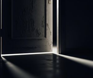 Zaniedbane psy w Katowicach. Co działo się za zamkniętymi drzwiami?