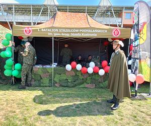 Piknik Wojskowy 18. Dywizji został zorganizowany na terenie zielonym przy aquaparku i stadionie miejskim w Siedlcach