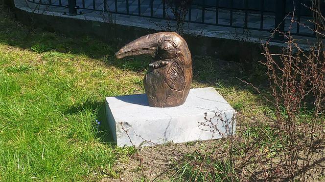 "Ptaki i ptaszyska"