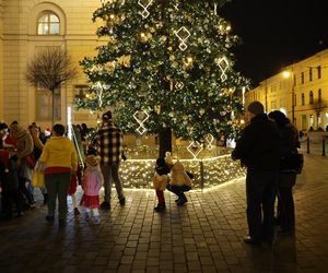 Boże Narodzenie 2024. Światełka oświetliły choinkę na pl. Łokietka w stolicy woj. lubelskiego! Tak się prezentuje