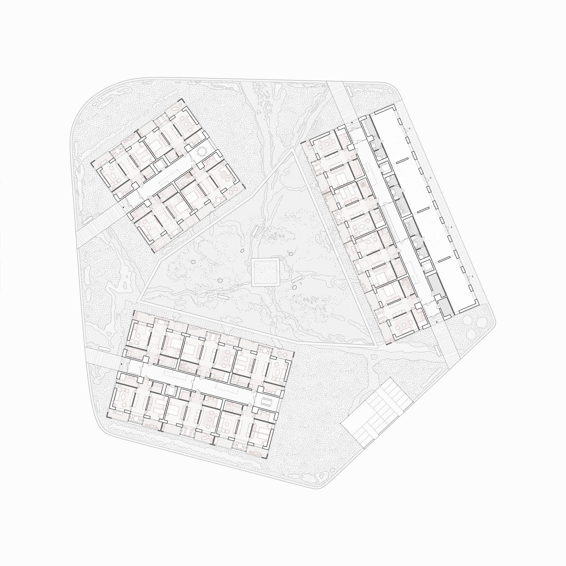 Osiedle Forsycji w Stargardzie