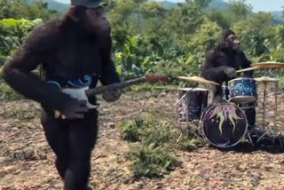 Coldplay - Adventure of a Lifetime: teledysk z małpami! Planeta Małp w klipie