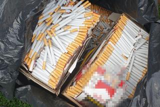 Pół miliona papierosów znalezionych w Wołominie