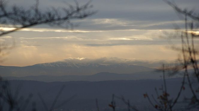 To jedyna taka willa w Krakowie. Znajduje się w lesie, widać z niej nawet Tatry