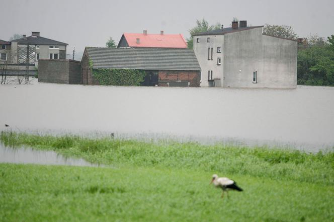 Powódź na Śląsku - wieś Bieruń