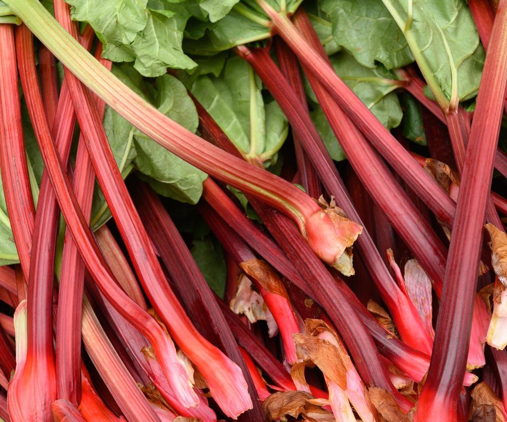 Ten letni przysmak był uznawany za truciznę. Komu może zaszkodzić?