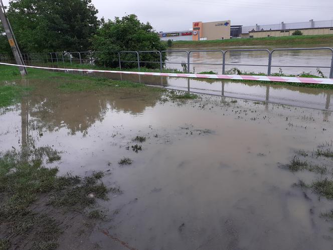 Przemyśl: San zalał ogródki działkowe i ścieżki rowerowe