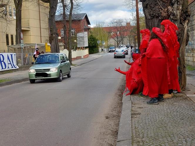 PRZERAŻAJĄCA manifestacja w centrum miasta! Milczący protest przypomniał o masowym wymieraniu [ZDJĘCIA]