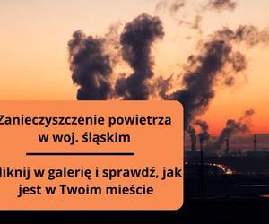 Zanieczyszczenie powietrza w woj. śląskim. Stan w miastach na 25.10.2023 r.