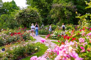 7 najładniejszych ogrodów botanicznych w Polsce. Kiedy je odwiedzić i gdzie są? Zobacz zdjęcia!