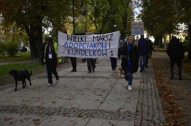 Wielki marsz adopciaków w Radomiu