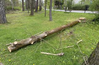 Miesiąc po wichurze, odwiedziliśmy miejsce tragedii w Rabce-Zdroju. Oto, co zobaczyliśmy