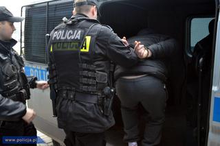 Policja rozbiła żyrardowską bandę