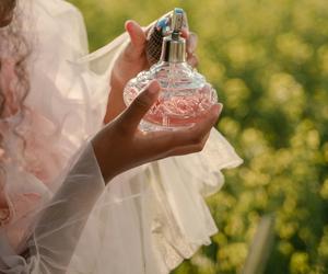 Jak wybrać perfumy na lato? Te lekkie nuty zapachowe to esencja wakacji 