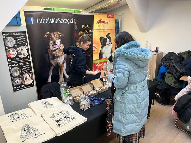 Dzień Kota w Schronisku dla Bezdomnych Zwierząt w Lublinie