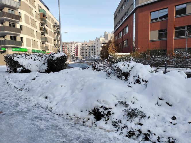 Takiej zimy we Wrocławiu  nie było od kilku lat. Zobacz te piękne ośnieżone miejsca