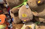 Ceny w nadmorskich kurortach zwalają z nóg. Pluszak za 150 zł?