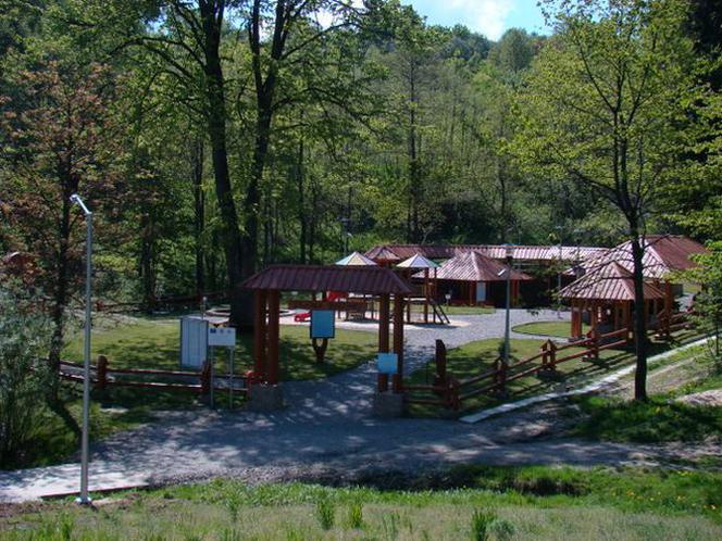 Sołonka