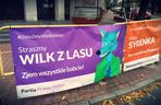 Wilk z lasu: Zjem wszystkie babcie!