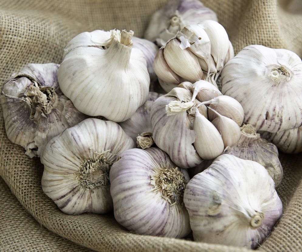 Czosnek potocznie zwany jest naturalnym antybiotykiem.  Wzmacnia odporność i pomaga zwalczać infekcje.