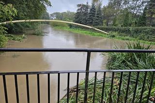 Pogotowie przeciwpowodziowe w powiecie pszczyńskim. Ponad 250 zgłoszeń, przekroczone stany rzek