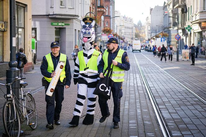 Zebra Basia rozdawała odblaski na chorzowskiej Wolce 