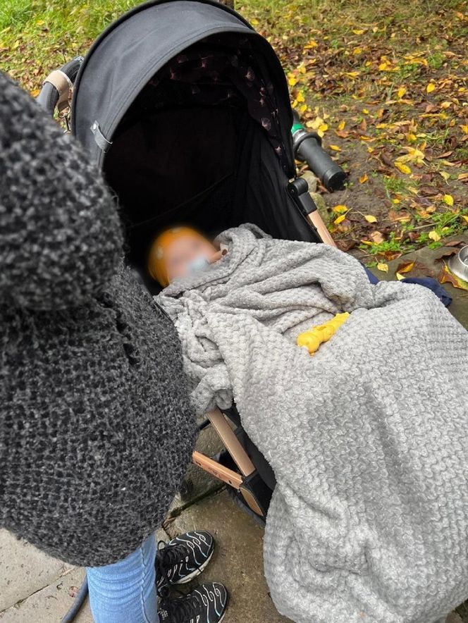 Nalot policji na ogródki działkowe. Zatrzymali 33-latka i jego żonę. 9-miesięcznę niemowlę wciągnięte w przestępczy proceder