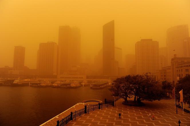 Burza piaskowa nad Sydney