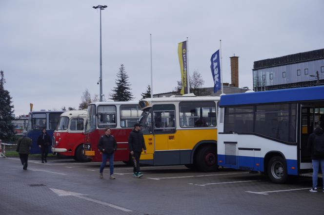 Katarzynki 2024 - wystawa autobusów przy Galerii Panorama