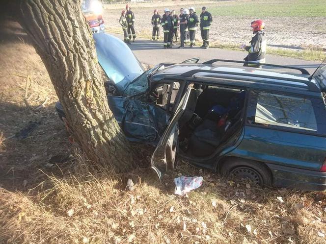 Groźny wypadek pod Bydgoszczą. Jedna osoba trafiła do szpitala! [ZDJĘCIA]