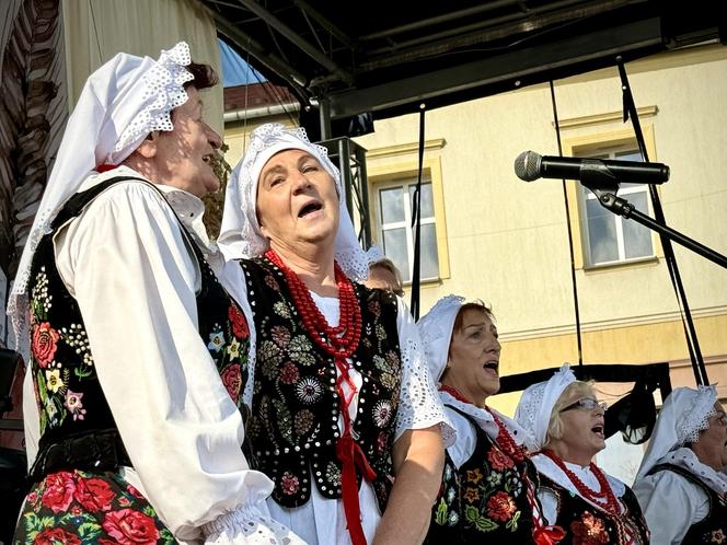 Dożynki miejskie w Jaworznie