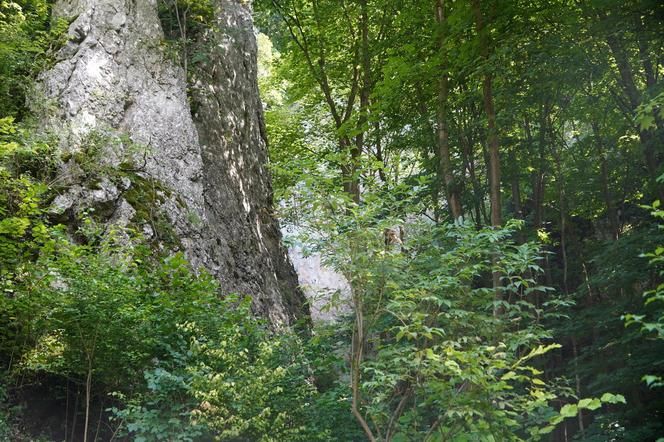 Najpiękniejsza dolina blisko Krakowa. To miejsce idealne na wakacyjną wycieczkę w ciszy i spokoju