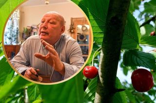 Jackowski snuje wizję zaplanowanego kryzysu, niedługo ma zapanować wielka drożyzna. Powtarzam: 2025 rokiem przeklętym