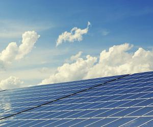 Gorzów: Inneko szuka doradcy w sprawie elektrowni słonecznej