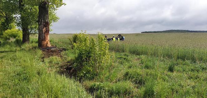 Kozłowo: Mercedes UDERZYŁ w drzewo! NIE ŻYJE 28-latek, który WYPADŁ z pojazdu!