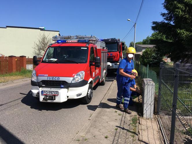 Nochowo: Dramat w piwnicy. Prąd śmiertelnie poraził 40-latka!
