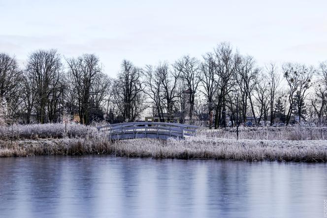 Piękny widok w Turznie - Zdjęcie dnia