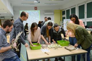 Odnawialne źródła energii, a może bioinżynieria zwierząt? Studiuj w Krakowie! W czerwcu ruszyła rekrutacja na Uniwersytet Rolniczy.