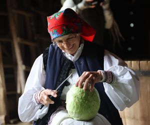 Tak ongiś siekano kapustę w woj. lubelskim. „Obieraczki kapuściane” w Muzeum Wsi Lubelskiej