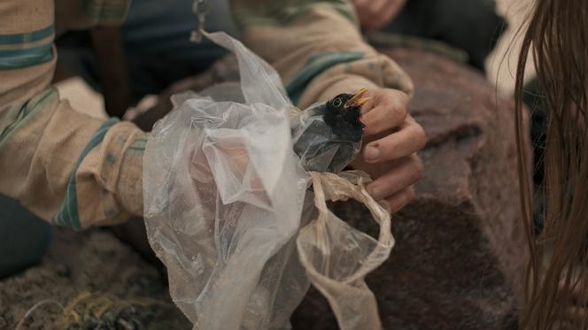 Tak powstawał film "Rój" 