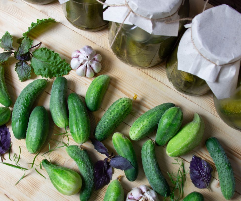 Ogórki na zimę na różne sposoby: TOP 10 przepisów na przetwory