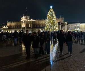 Najpiękniejsza choinka na świecie znajduje się w Polsce! Gdzie ją zobaczyć? 