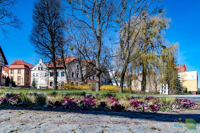 Olsztyn wraca do życia. Mimo epidemii centrum miasta rozkwita