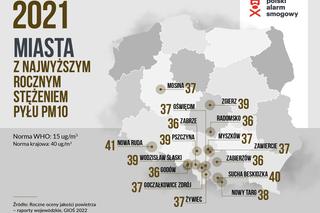 Polski Alarm Smogowy 2022. Ranking zanieczyszczonych miast